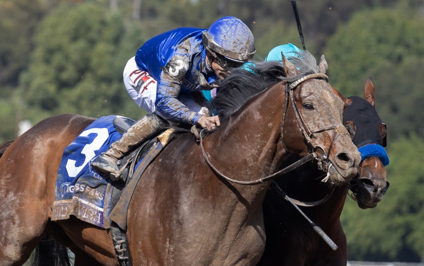 Breeders’ Cup 2025 - News, Results And Entries | Daily Racing Form